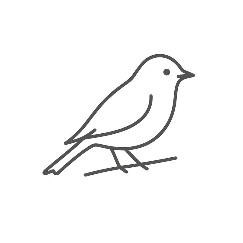 Feed the Birds First