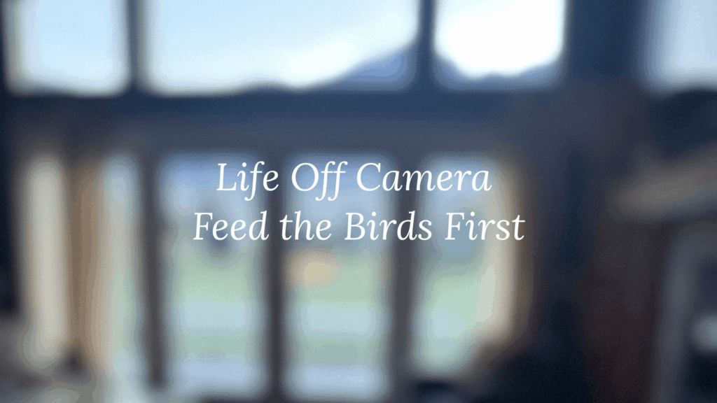 looking out at nature as a reminder to live life off camera.